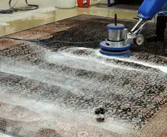 Professional rug cleaning with a rotary floor machine and shampoo foam, deep-cleaning an area rug, in Columbus, GA.